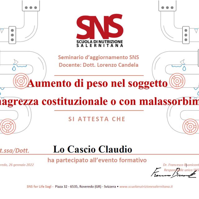 Ingrandire l'immagine: certificate 4