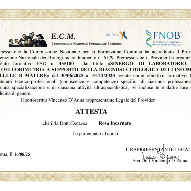Ingrandire l'immagine: certificate 11