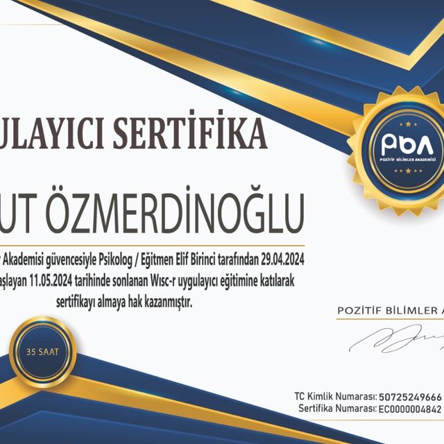 Resmi büyüt: certificate 6