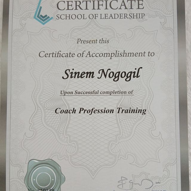 Resmi büyüt: certificate 14