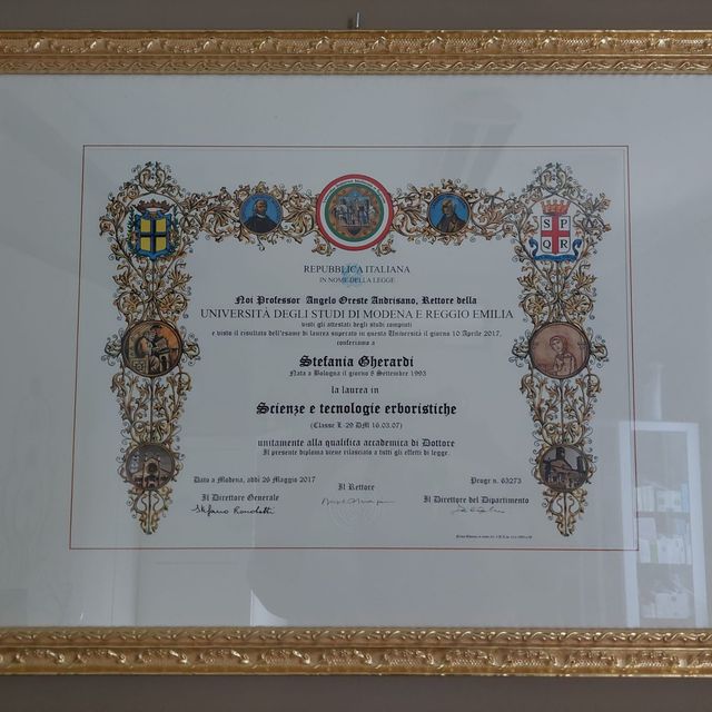 Ingrandire l'immagine: certificate 2