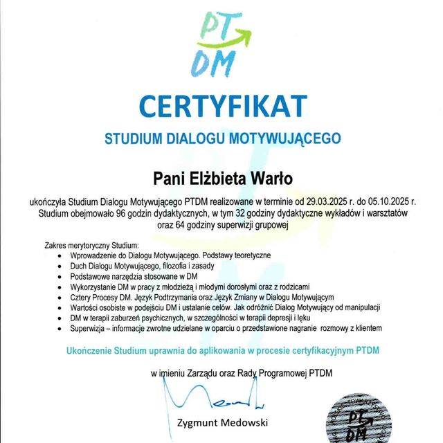 Powiększ obraz: certificate 1