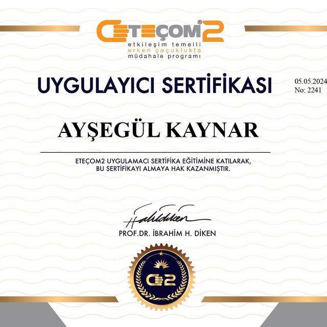 Resmi büyüt: certificate 4