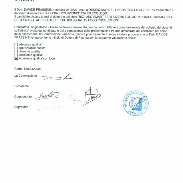 Ingrandire l'immagine: certificate 1