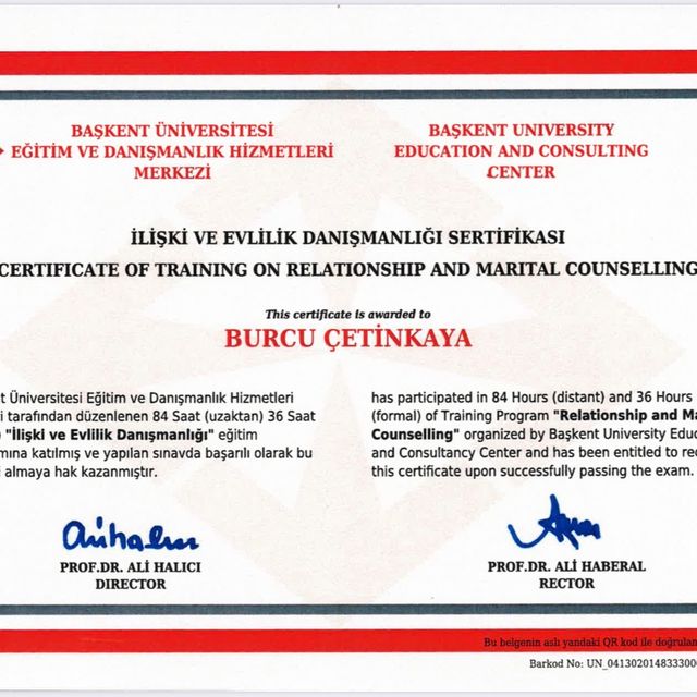 Resmi büyüt: certificate 25