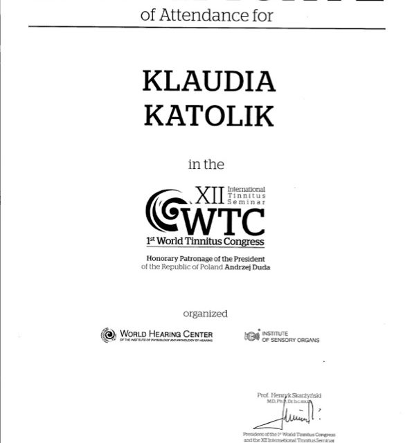 Powiększ obraz: certificate 1