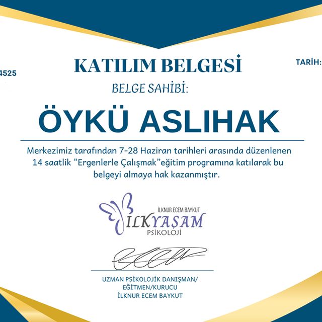Resmi büyüt: certificate 1