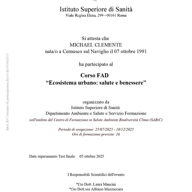 Ingrandire l'immagine: certificate 33