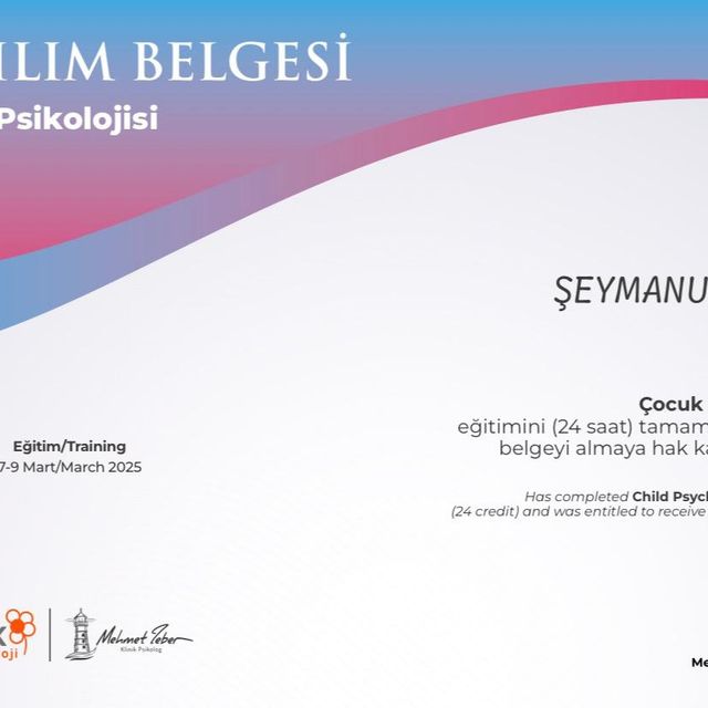 Resmi büyüt: certificate 11