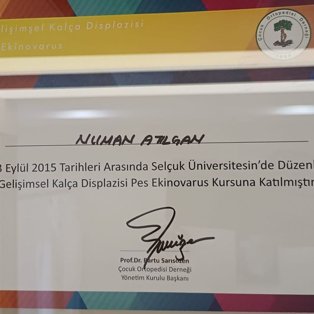 Resmi büyüt: certificate 10