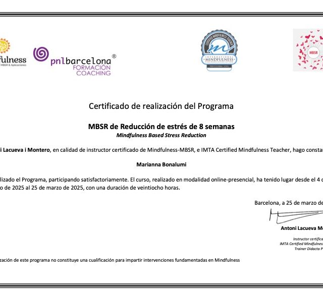 Acercar imagen: certificate 3