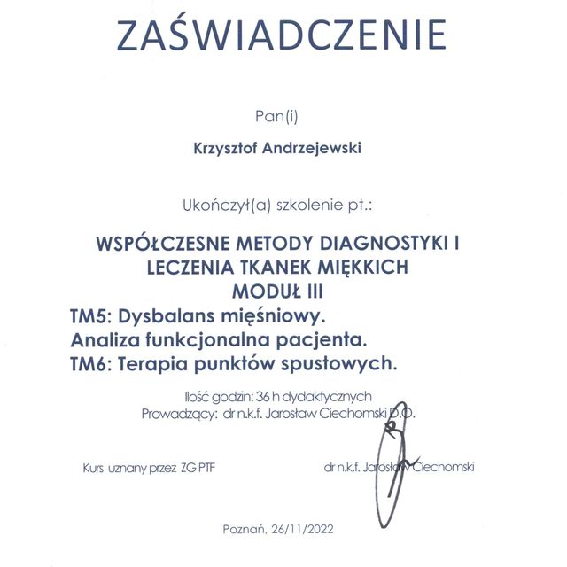 Powiększ obraz: certificate 4
