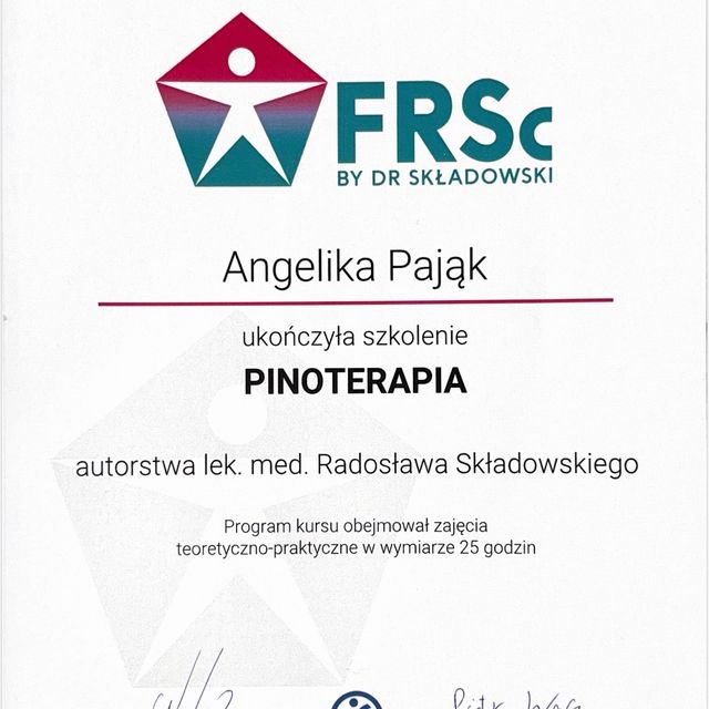 Powiększ obraz: certificate 2