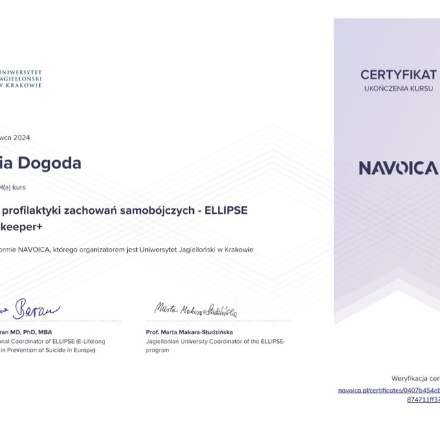 Powiększ obraz: certificate 4