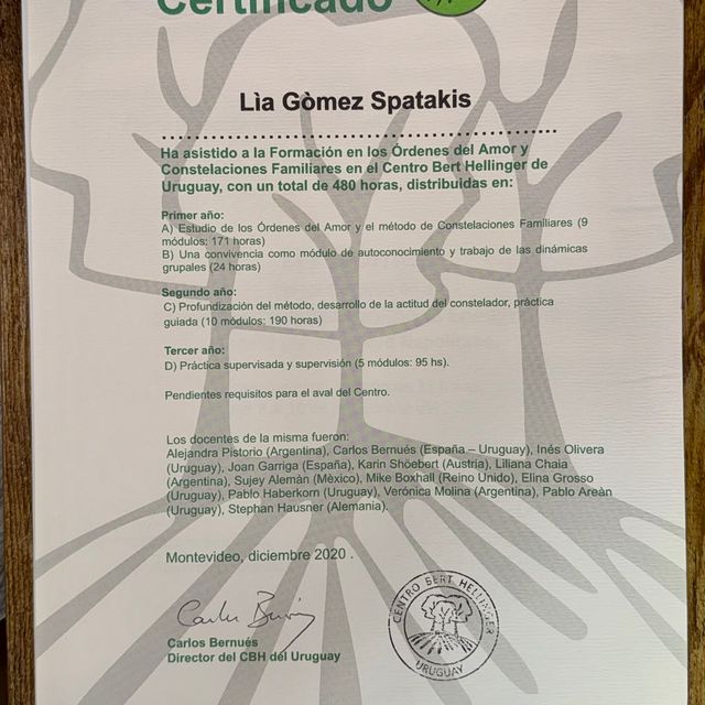 Acercar imagen: certificate 8