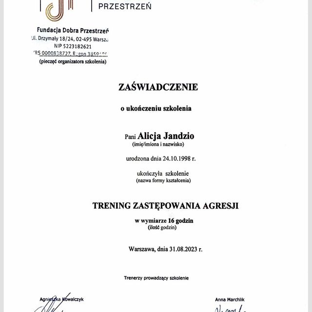 Powiększ obraz: certificate 3