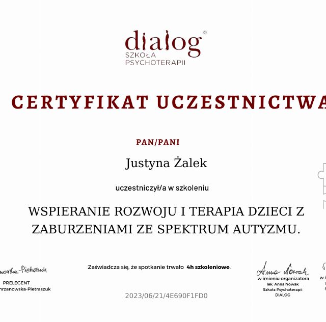 Powiększ obraz: certificate 1