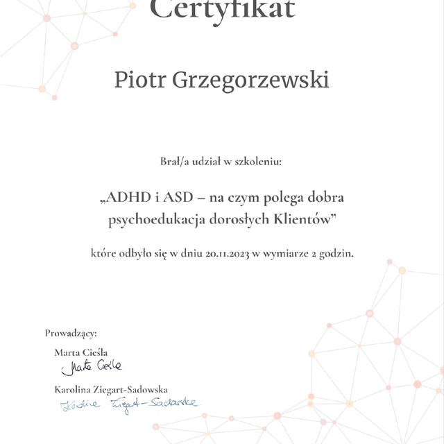Powiększ obraz: certificate 11