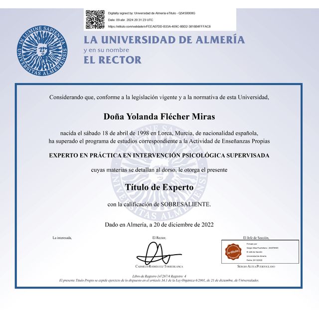 Acercar imagen: certificate 3