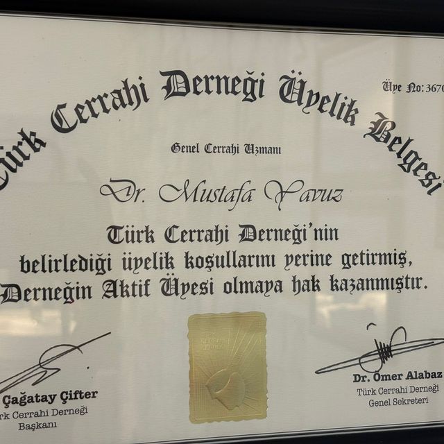 Resmi büyüt: certificate 8