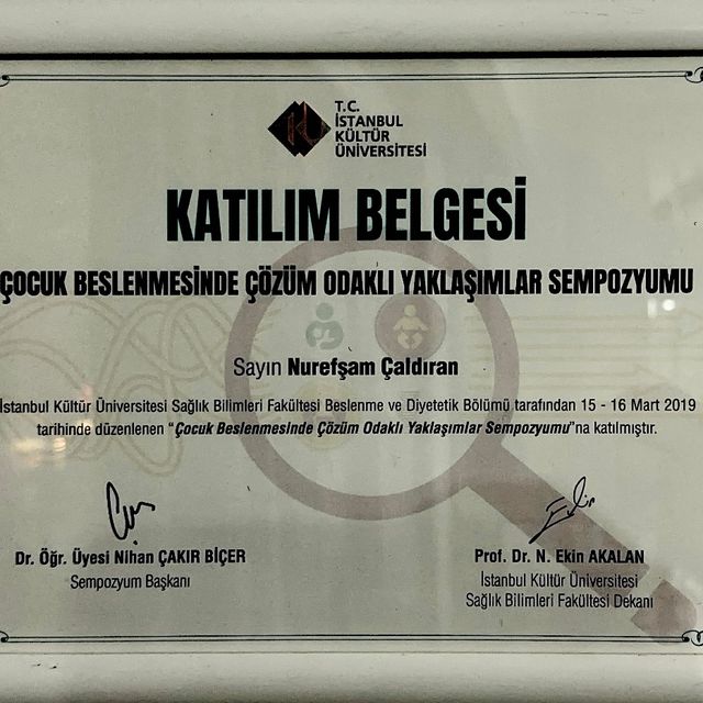 Resmi büyüt: certificate 5