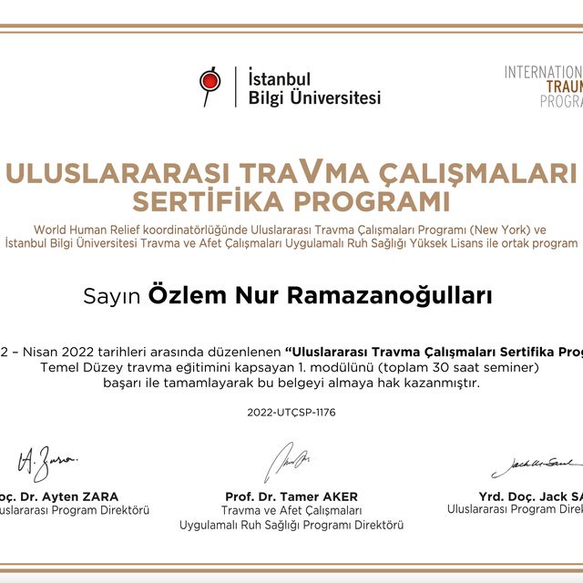 Resmi büyüt: certificate 3