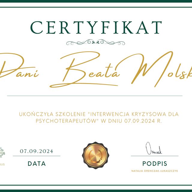 Powiększ obraz: certificate 1