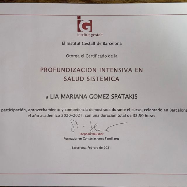 Acercar imagen: certificate 3