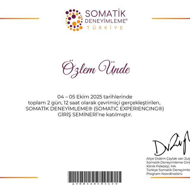Resmi büyüt: certificate 5