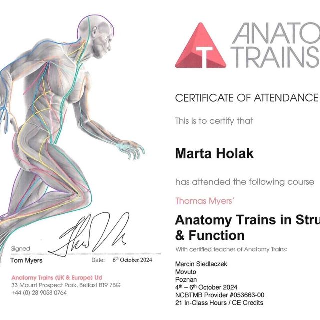 Powiększ obraz: certificate 1