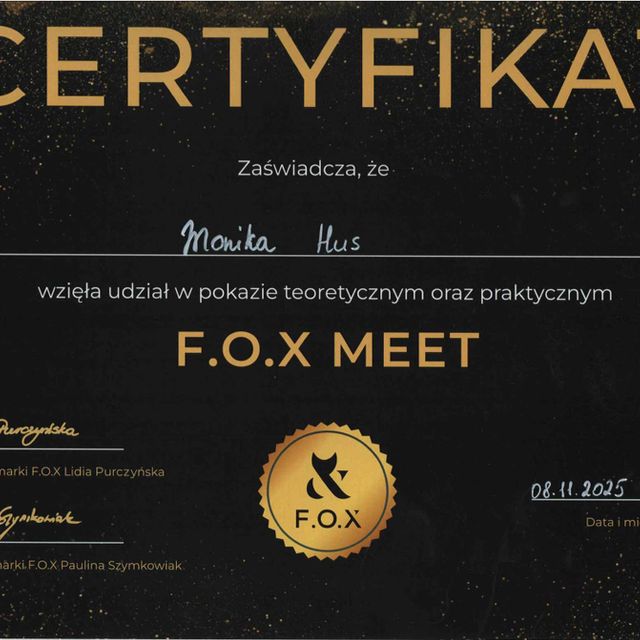 Powiększ obraz: certificate 9