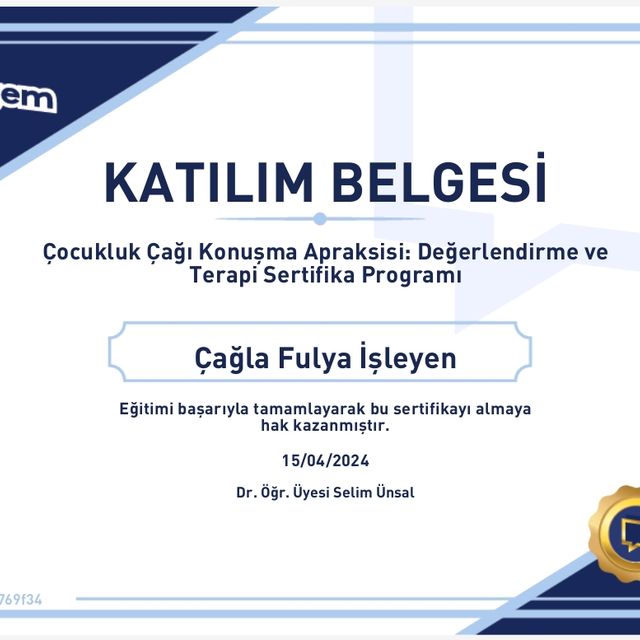 Resmi büyüt: certificate 15