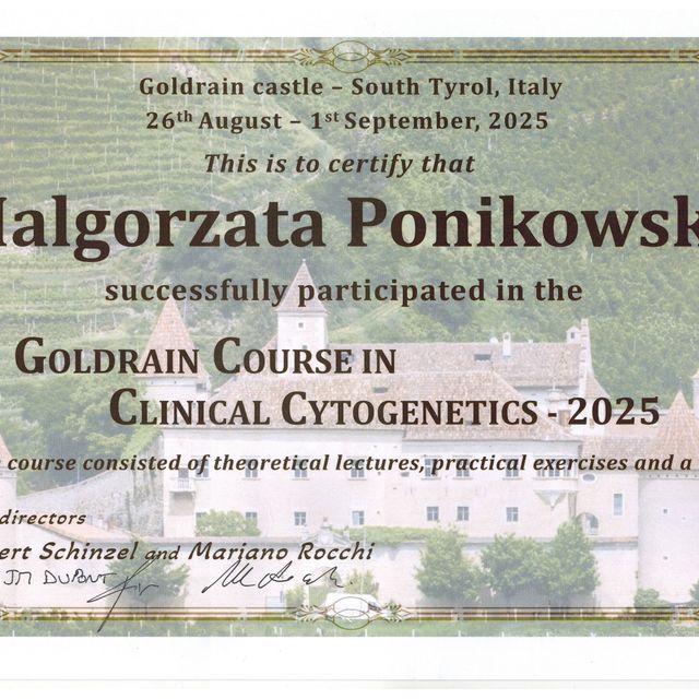 Powiększ obraz: certificate 7