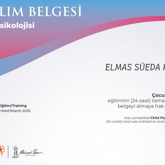 Resmi büyüt: certificate 2