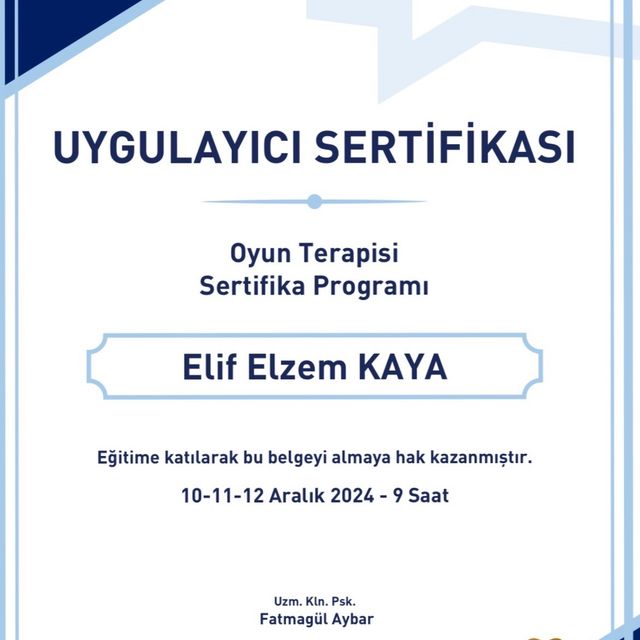 Resmi büyüt: certificate 2