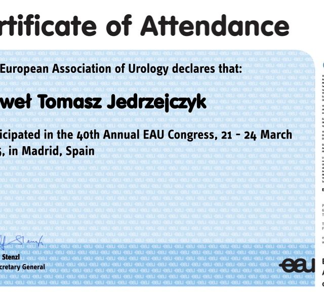 Powiększ obraz: certificate 1