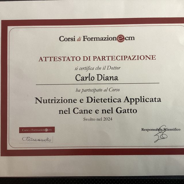 Ingrandire l'immagine: certificate 5