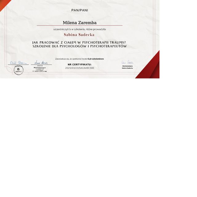 Powiększ obraz: certificate 1