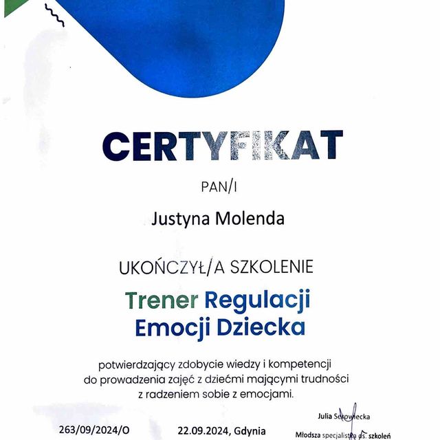 Powiększ obraz: certificate 7