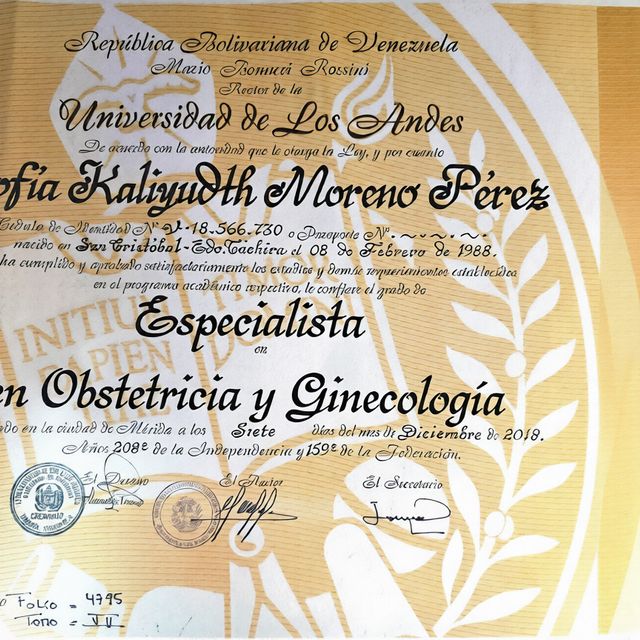 Acercar imagen: certificate 2