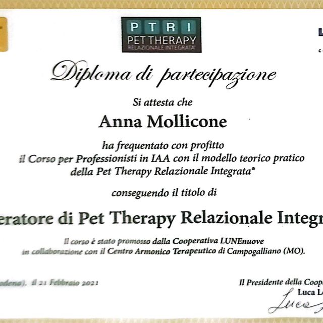 Ingrandire l'immagine: certificate 4