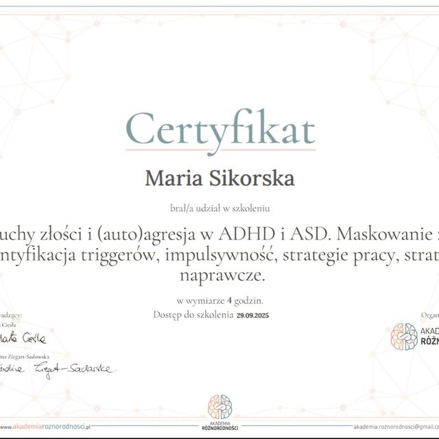 Powiększ obraz: certificate 3