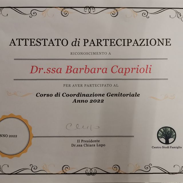 Ingrandire l'immagine: certificate 3