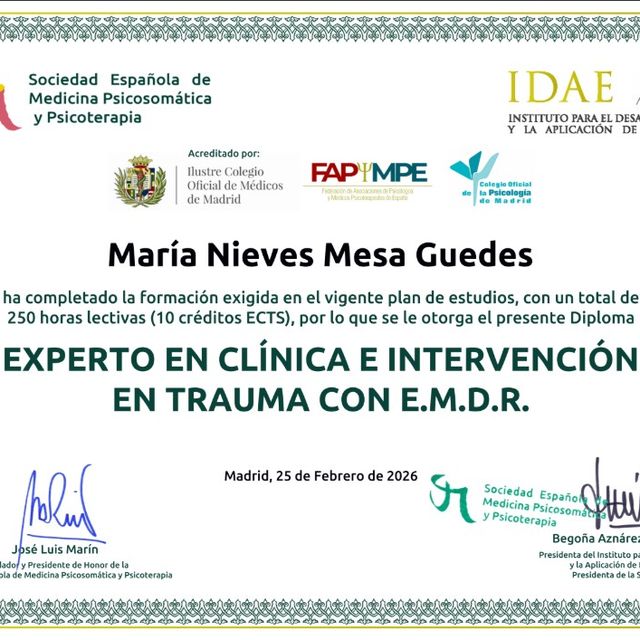 Acercar imagen: certificate 22