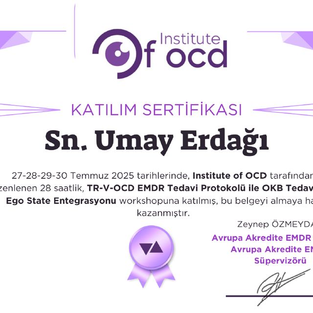 Resmi büyüt: certificate 3
