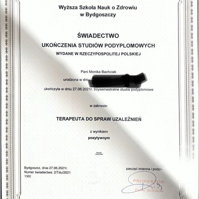 Powiększ obraz: certificate 1