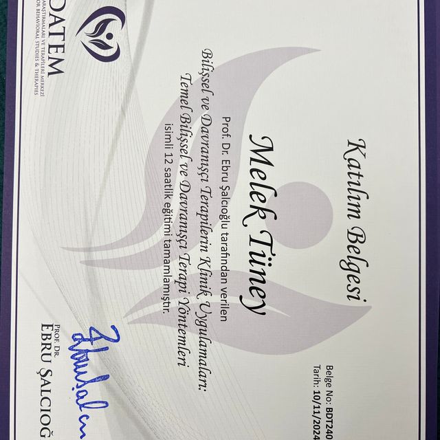 Resmi büyüt: certificate 1