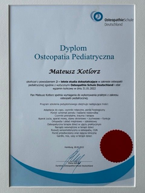 Powiększ obraz: certificate 2