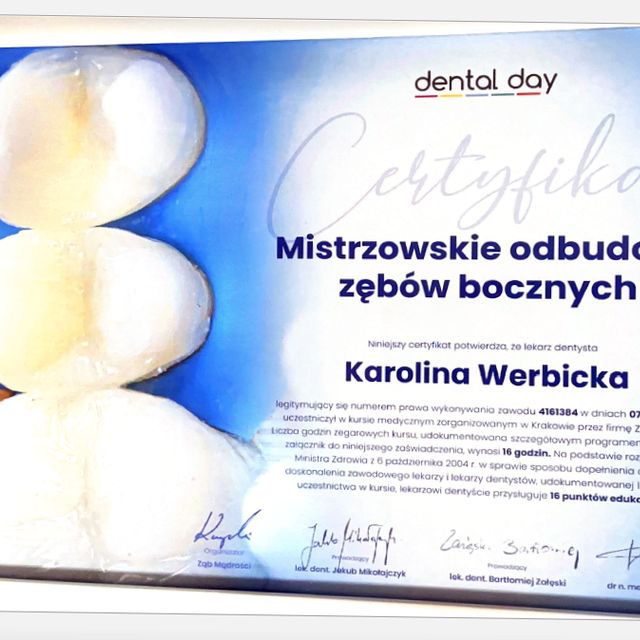 Powiększ obraz: certificate 2