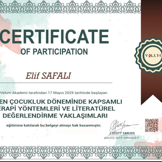 Resmi büyüt: certificate 5